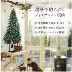 決まりましたの画像