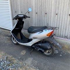 ライブDIO の画像