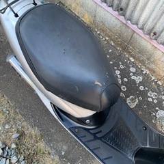 ライブDIO の画像