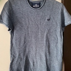 Hollister Tシャツ
