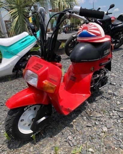 スカッシュ 50 ホンダ カスタム 旧原付 (ノッチ) 新鉾田のバイクの中古