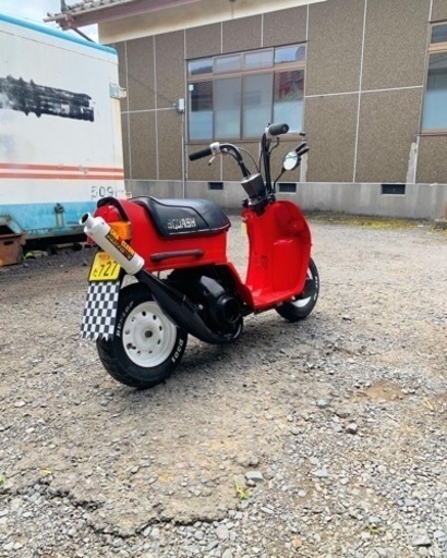 スカッシュ 50 ホンダ カスタム 旧原付 スカッシュ 50 ホンダ カスタム 旧原付 (ノッチ) 新鉾田のバイクの中古
