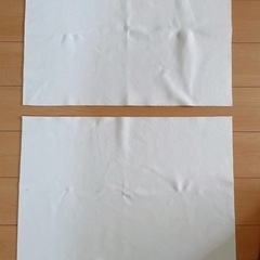 繰り返し使える ペットシーツ 2枚