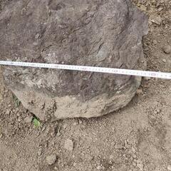 お取引中　無料　庭石　石　の画像