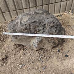 お取引中　無料　庭石　石　の画像