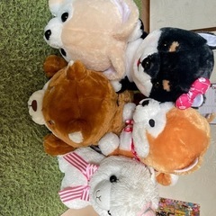 ぬいぐるみの画像