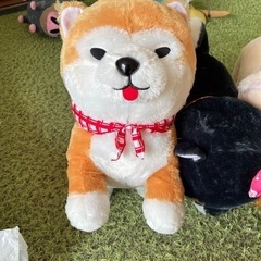 ぬいぐるみの画像