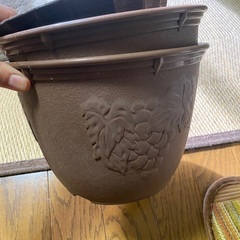 鉢の画像
