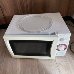 電車レンジ