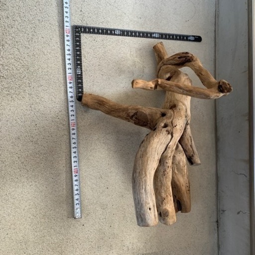 大きい流木など4本