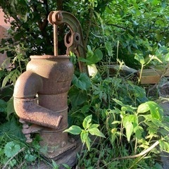 【みんなで掘ろう！井戸掘りワークショップ】 3000円