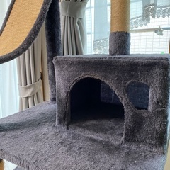キャットタワーの画像