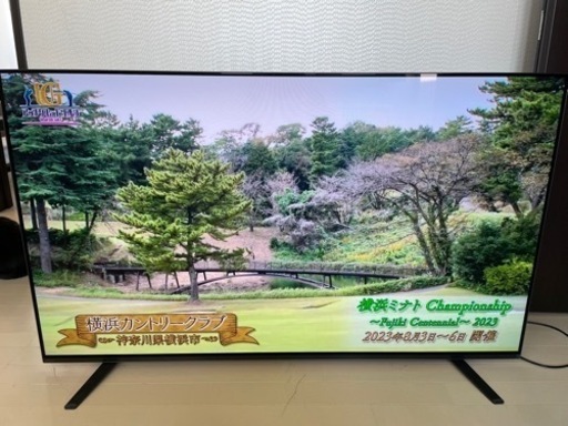 ！値下げ！【2020年製】SONY 有機ELディスプレイ 55型