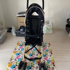 バギー