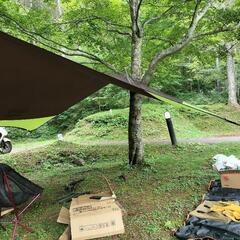 キャンプに行きませんか。
