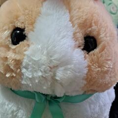 うさだま　ぬいぐるみ