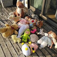 ぬいぐるみいろいろ
