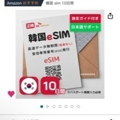 韓国eSIM 10日間
