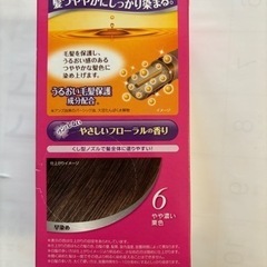 パオン　白髪染め　乳液タイプの画像