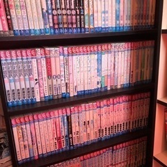 少女漫画200冊以上　フラワーコミック