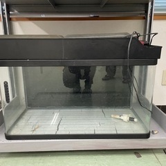 水槽2つ、スチール棚付き