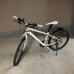 自転車 クロスバイクの画像