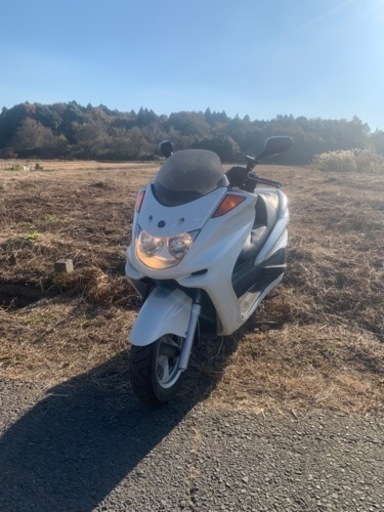 ヤマハマジェスティC 250 5連メーター！