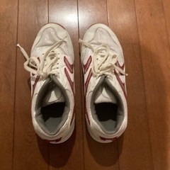 室内シューズ　25cm