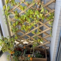 フラワーボックスの画像