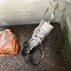 水槽（グラステリア600）、ヒーター、フィルターの画像