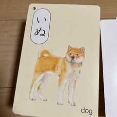 フラッシュカードの画像