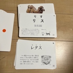 フラッシュカードの画像
