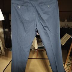Suit Company ウォッシャブルスーツ ２パンツ 170cm A5体の画像
