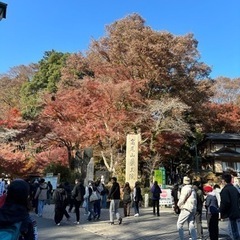 12月16日(土)高尾山から陣馬山縦走登山