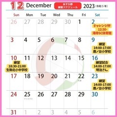 生駒市白庭台　あすか野　西白庭台　女子バレーボール
