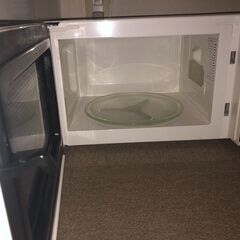 電子レンジ ELSONIC