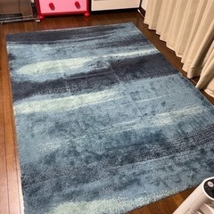 IKEA  SÖNDERÖD/ソンデロードラグ パイル長 ブルー 170x240cmの画像