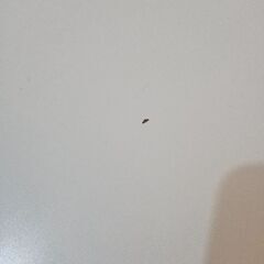 IKEA イケア EMHULT テーブル(白) 12/11-17引き取り限定の画像