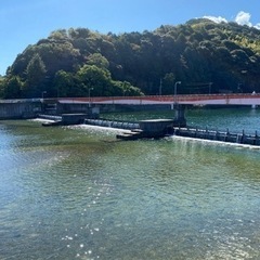 普通免許が有れば誰でも15000円の画像