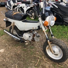 ボビ バイクの中古が安い！激安で譲ります・無料であげます｜ジモティー