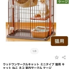 ウッドワンサークルキャット ミニタイプ 猫用キャット ねこネコ 室内