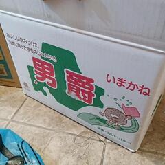 芽が生えた今金男爵2キロくらいの画像