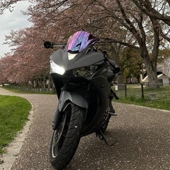 YZF-R25 【3月まで】