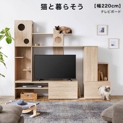 LOWYA ロウヤ　テレビ台　猫　収納　キャットウォーク