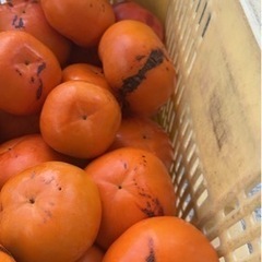 取引き中です①