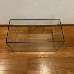 水槽　熱帯魚　メダカ　海水魚　アクアリウムの画像