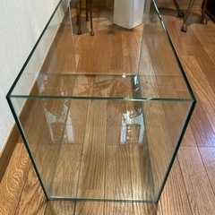 水槽　熱帯魚　メダカ　海水魚　アクアリウムの画像