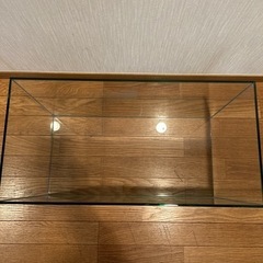 水槽　熱帯魚　メダカ　海水魚　アクアリウムの画像