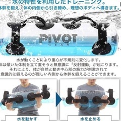 ウォーターバック　PIVOT GEAR 36Lの画像
