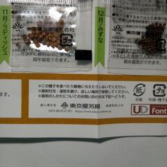季節の種(１月～１２月)(新入学生教材に)の画像